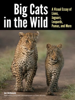 cover image of Big Cats in the Wild